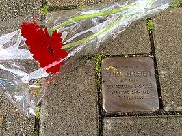 Georg Hornstein - Stolperstein à 65 Waalstraat, Amsterdam