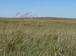 Willa Cather Memorial Prairie no Webster County, Nebraska.