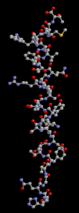 Struttura tridimensionale del glucagone