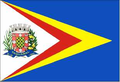 Bandeira de Taquaral