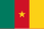 Flag of Cameroon