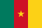 Bandera de Camerún