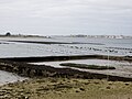 Ancien parc ostréicole dans la partie ouest de l'île de Kerner.