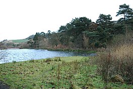 Image of a lake with grassy edges