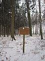 Der Scharfe Berg, die zweithöchste Erhebung des Stemweder Bergs