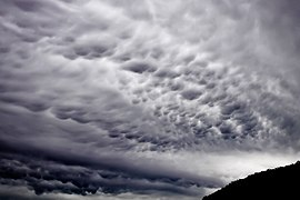 畝状の層積雲に現れた乳房雲