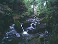 Fairies Chapel Healey Dell