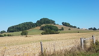 Photo de la motte castrale de Choiseul en Haute-Marne.