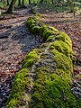 Steinerne Rinne bei Roschlaub, Gemeinde Scheßlitz, Franken