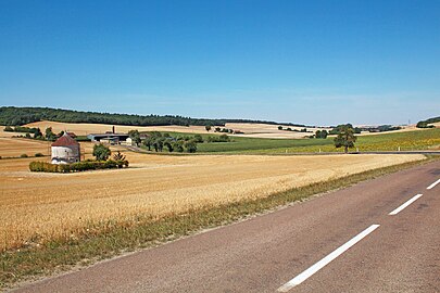 Sur la route de Bucey à Vauchassis...