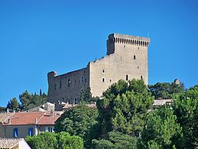 Image illustrative de l’article Château de Châteauneuf-du-Pape