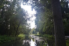 Les bords de la Juine à Étréchy.