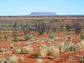 Outback australian