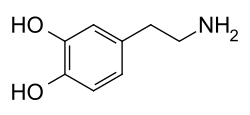 Chemical diagram of the structure of a dopamine molecule.