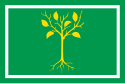 Flag of Chertanovo Tsentralnoye District