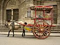 Image 32Kalesa, a traditional Philippine urban transportation, in front of Manila Cathedral entrance (from Culture of the Philippines)