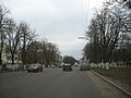 A street in the city centre.