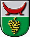 Blason de Tieschen