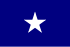 Bandera Bonnie Blue