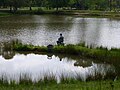 La pêche dans le petit étang.