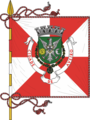 Vlag van Aveiro