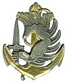 Insigne de béret des parachutistes TDM.