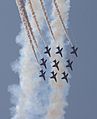 Red Arrows, 2009