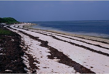 Pratas Island Beach