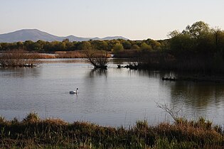 Lake of Alviano