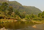 A river flowing through a forested mountain landscape.