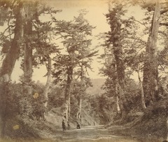 Tōkaidō road in Japan - presumably 1863-1865