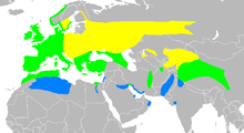Območje razširjenosti:        Gnezditveno        Vse leto        Prezimovališče (približna območja)