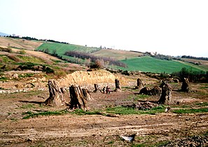 Fossil forest of Dunarobba