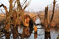 Das besonders wilde Naturschutzgebiet Hahnheimer Bruch an der Selz liegt zu Teilen auf dem Gebiet der VG Nieder-Olm