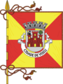 Vlag van Viseu