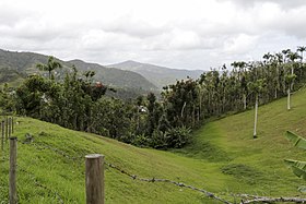 San Lorenzo (Porto Rico)