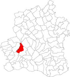 Location in Teleorman County