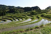 大山千枚田 レイ（仮称）が田植えをする棚田のモデル。