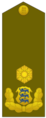 Estonija: Brigaadikindral