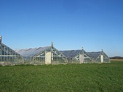 Wijngaardkassen. In gebieden waar wijnbouw klimatologisch lastig is, kan het kunstmatige microklimaat van een kas uitkomst bieden. Voorbeeld: Vlaams-Brabant in België