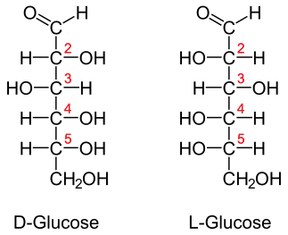 Projection de Fischer des deux énantiomères du glucose.