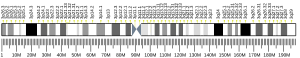 Chromosome 3 (human)