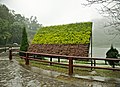 慈湖的湖岸造景