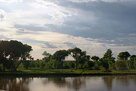 Photographie montrant une des berges du fleuve Rio Grande, dans un cadre naturel de verdure et de forêt.