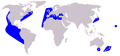 Distribución de Delphinus delphis