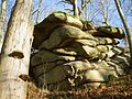 Sattelpeilnstein Schlossberg