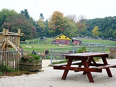 Dierenboerderij