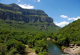 Pro Breonadia salicina rūšies medžių giraitę tekanti Blaido upė. Kairėje pusėje matyti 1628 m aukščio Čvatengo (Tshwateng) viršukalnė - viena aukščiausių šiaurinėje kalnagūbrio dalyje