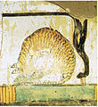 Image 31A cat eating a fish under a chair, a mural in an Egyptian tomb dating to the 15th century BC (from Cat)