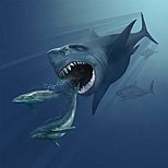 Megalodon perseguindo dúas baleas Eobalaenoptera, por Karen Carr